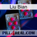 Liu Bian 14